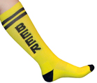beer socks